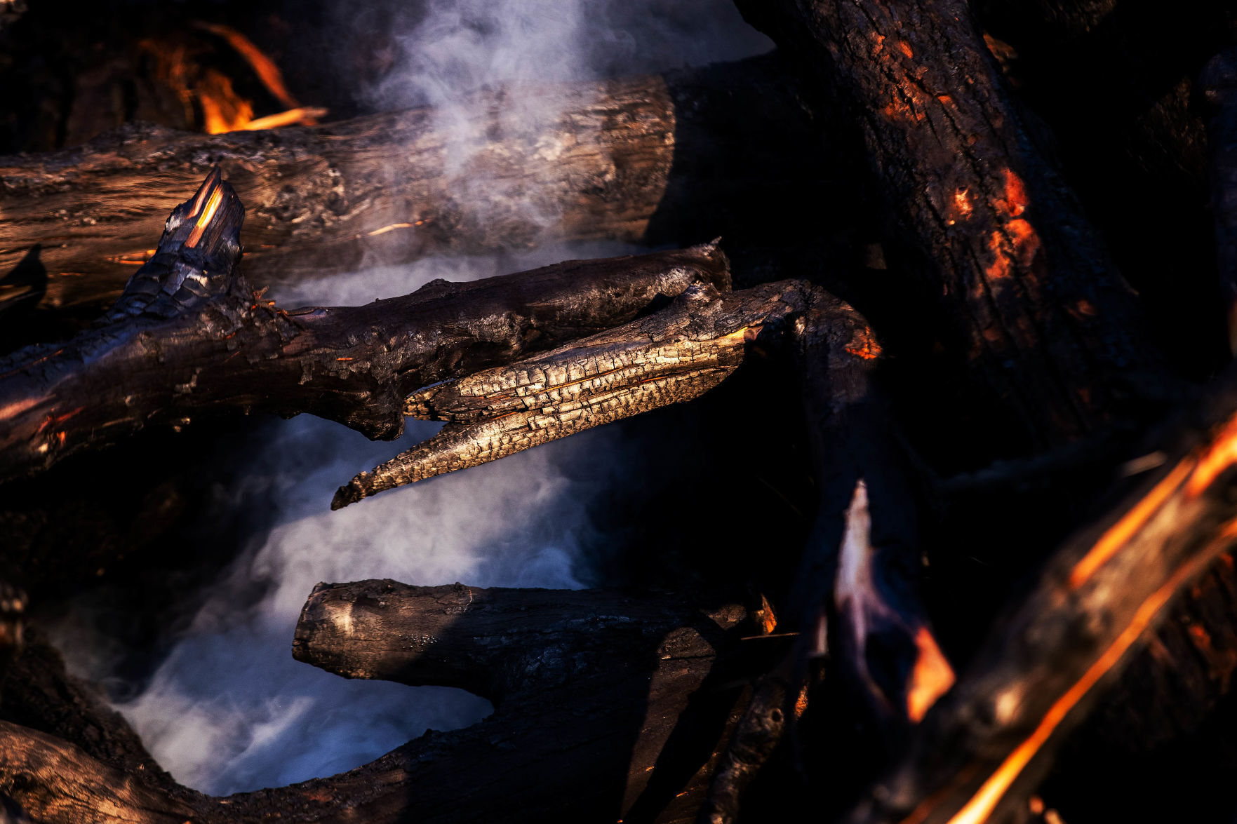 cm-treedebrisfire004.jpg